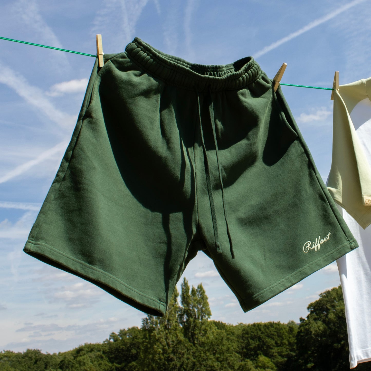 The Summer Selection Shorts